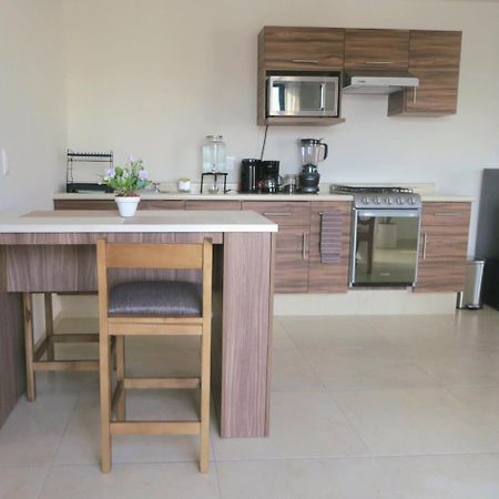 Departamento Tequis, Totalmente Nuevo En El Corazon De Slp Διαμέρισμα Σαν Λουίς Ποτοσί Εξωτερικό φωτογραφία