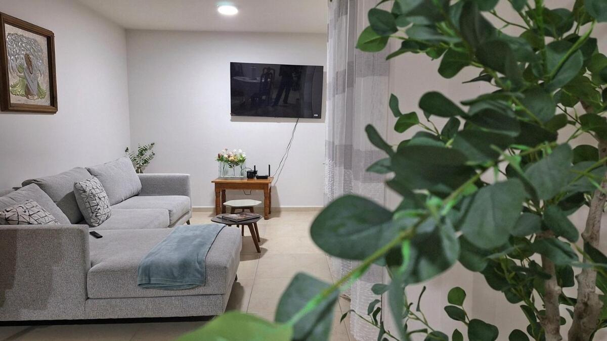 Departamento Tequis, Totalmente Nuevo En El Corazon De Slp Διαμέρισμα Σαν Λουίς Ποτοσί Εξωτερικό φωτογραφία